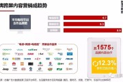 视频网站营销方式(可以进行营销的视频网站)