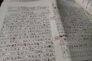 关于写作业的作文(关于写作业的作文600字)
