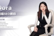 电商网站seo
:建立电商独立站之后，如何做SEO比较好？