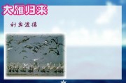 大雁归来写作背景(大雁归来作者简介及写作背景)