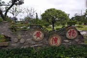 农村致富路
:农村现在都在发展乡村旅游，这是一条长期致富路吗？