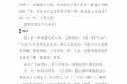 西瓜怎么写作文(西瓜怎么写作文不少于300字)