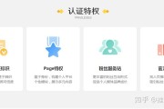v认证图标复制(快手认证图标复制)