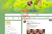 微博黄v号帮忙认证购买平台(微博帮忙认证黄v的好友要求)
