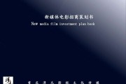 媒介策划(群邑媒介策划)