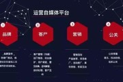 自媒体矩阵(自媒体矩阵盈利分析)
