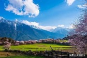 独善其身的意思
:身处职场的我们:是应该“趋炎附势”？还是应该“独善其身”？