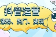 ks免费刷粉网站推广低价(ks刷粉网站推广秒刷)