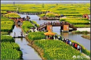 旅游网络推广
:怎样把村里的旅游业推广出去？