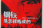 钢铁是怎样炼成的写作特色(钢铁是怎样炼成的写作特色及相应事例)