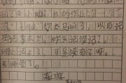 用小明乐乐足球写作文