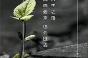平安e生保怎么样
:平安福18＋健享＋e生保＋平安RUN＋就医360，健康保障一站式服务！