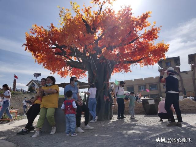 自媒体什么内容受欢迎
:做旅游自媒体，发什么样的内容（包括视频和文章）最受欢迎？