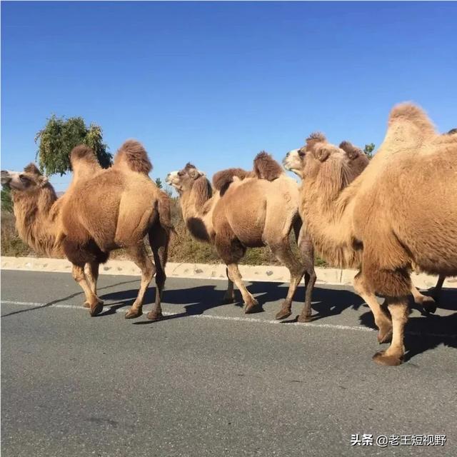 自媒体新手需要怎么做
:做自媒体的新人应该注意什么？