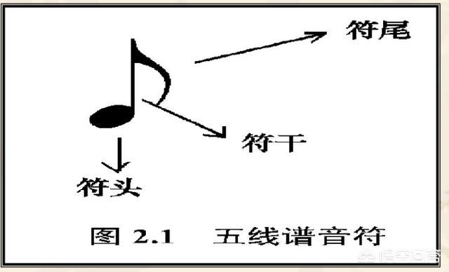 抖音标志
:抖音右下角的符号，分别代表什么？