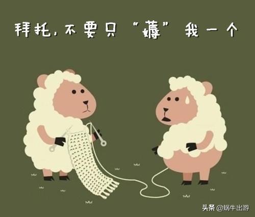 薅羊毛群
:抖音里那些薅羊毛群是真的吗？有风险吗？