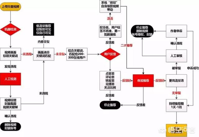 抖音运营方案
:抖音号如何运营？