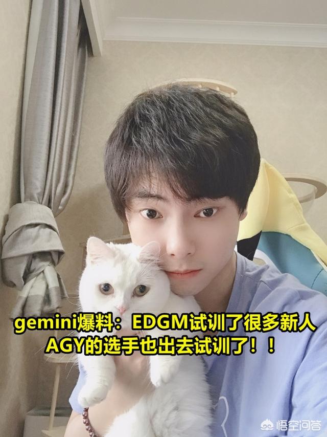 ymg
:Gemini爆料：EDGM或将大换血，试训很多新人，或有AGY选手加盟，你怎么看？