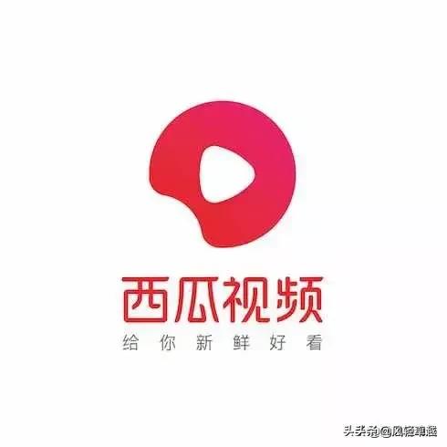 自媒体新人
:自媒体新人，需要注意什么？