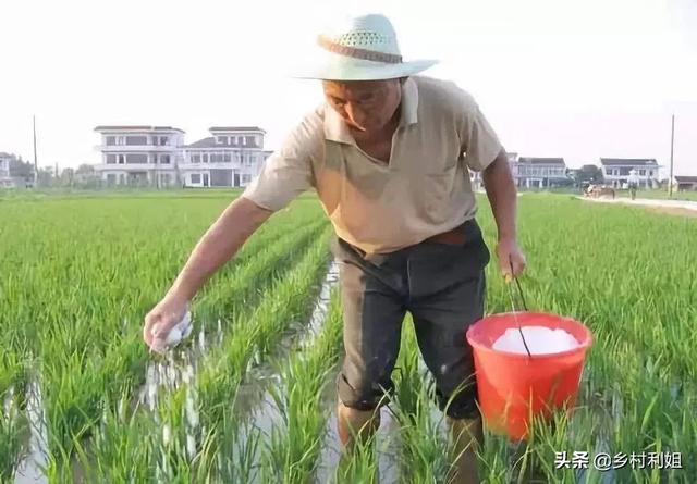 吉林大姐
:硫酸钾水稻什么时候使用？