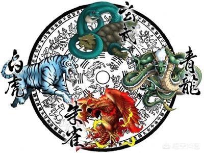 星图是什么意思
:“星图”为何常常出现在古墓中，它有什么意义？