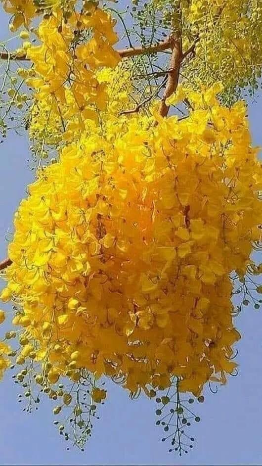 头条自媒体
:在头条做自媒体的越来越多，你觉得他们是为了赚钱还是单纯爱好？