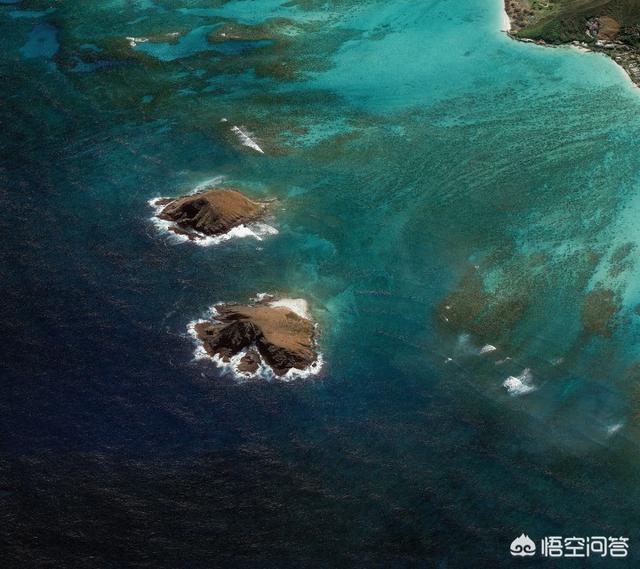 电商分销平台
:O2O的分销电商平台为什么很难做起来？