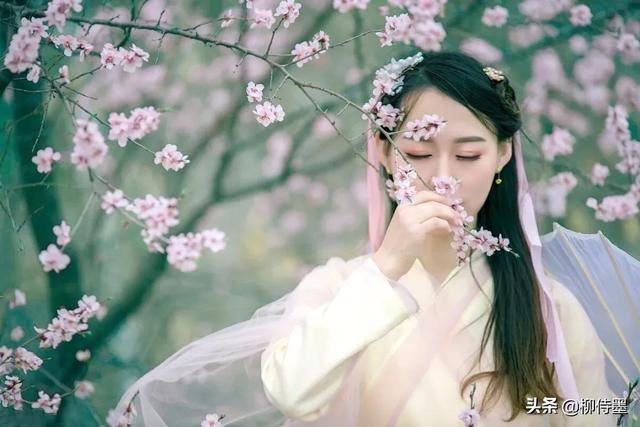 羊毛和花
:春天“和花合影”，怎么构图可以把人拍得更好看？