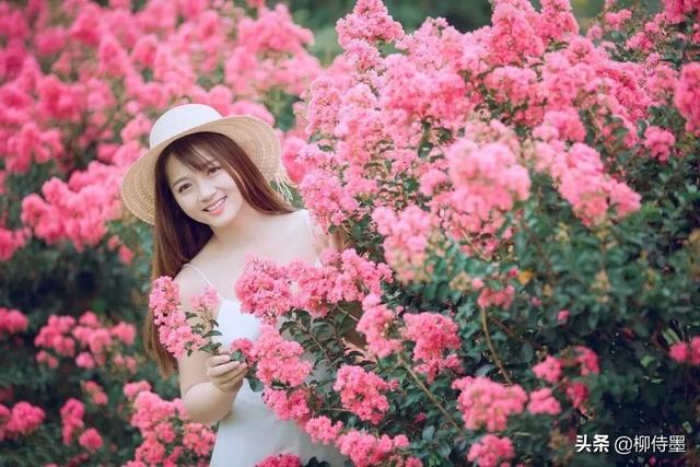 羊毛和花
:春天“和花合影”，怎么构图可以把人拍得更好看？