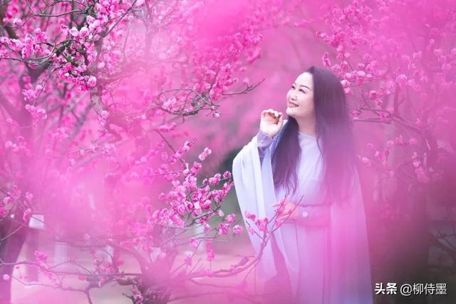 羊毛和花
:春天“和花合影”，怎么构图可以把人拍得更好看？