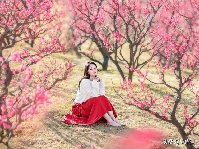 羊毛和花
:春天“和花合影”，怎么构图可以把人拍得更好看？