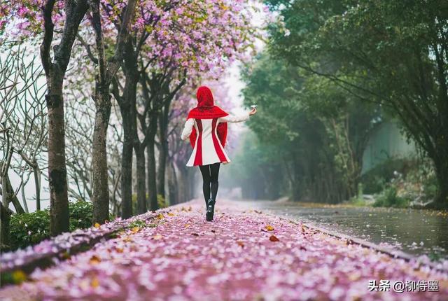 羊毛和花
:春天“和花合影”，怎么构图可以把人拍得更好看？