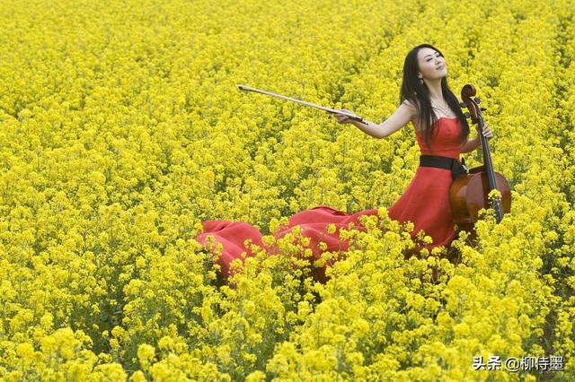羊毛和花
:春天“和花合影”，怎么构图可以把人拍得更好看？