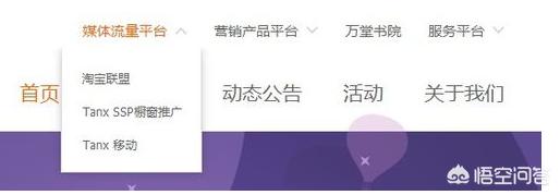 阿里妈妈淘宝客
:淘宝联盟id怎么查？