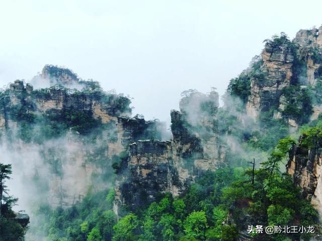 茅岩河
:张家界茅岩河风景区对本地市民实行优惠，为期半年, 你怎么看？