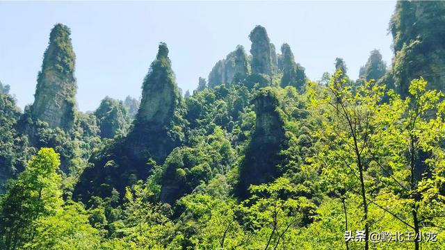 茅岩河
:张家界茅岩河风景区对本地市民实行优惠，为期半年, 你怎么看？