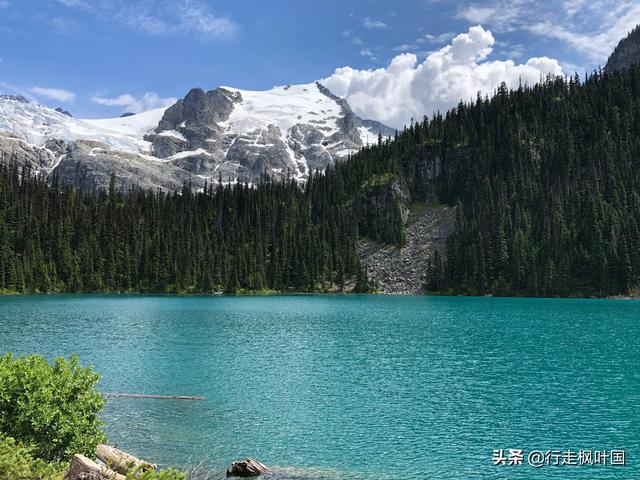 亚马逊加拿大
:拿到加拿大温哥华亚马逊offer，36岁，如何选择？