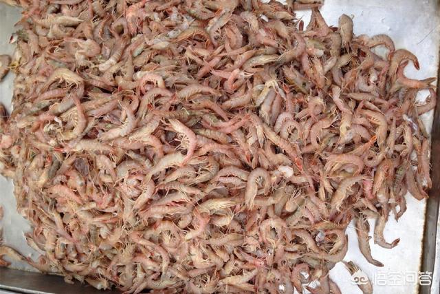 虾皮和虾米的区别
:虾皮与开洋的区别？