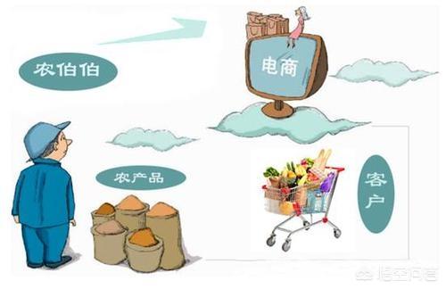 坂田五虎
:现在回农村老家做电商，该做些什么？如何起步？