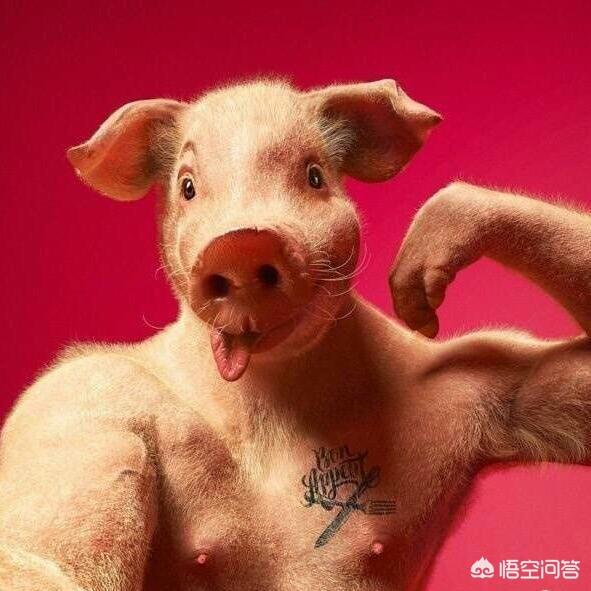 个人自媒体
:个人自媒体是不是远不如团队自媒体好做？