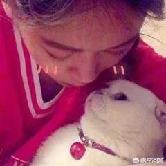 抖音网红排名
:现在最火的抖音网红是谁？