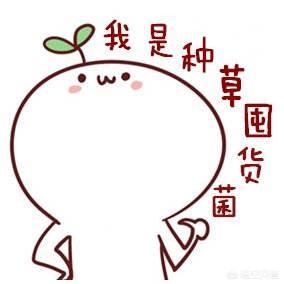 什么是种草
:种草是什么意思？