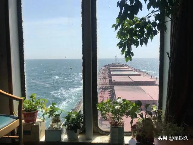 船长亚马逊
:请问远洋船上船长的权利到底有多大？