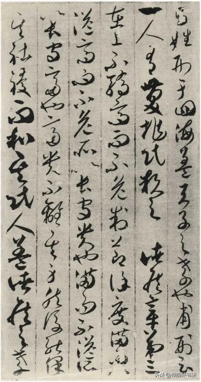 纵腾集团
:贺知章是唐代著名诗人，为啥其草书也那么出彩呢？
