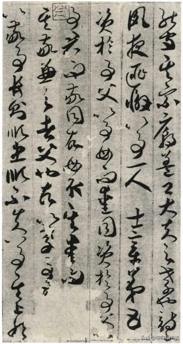 纵腾集团
:贺知章是唐代著名诗人，为啥其草书也那么出彩呢？