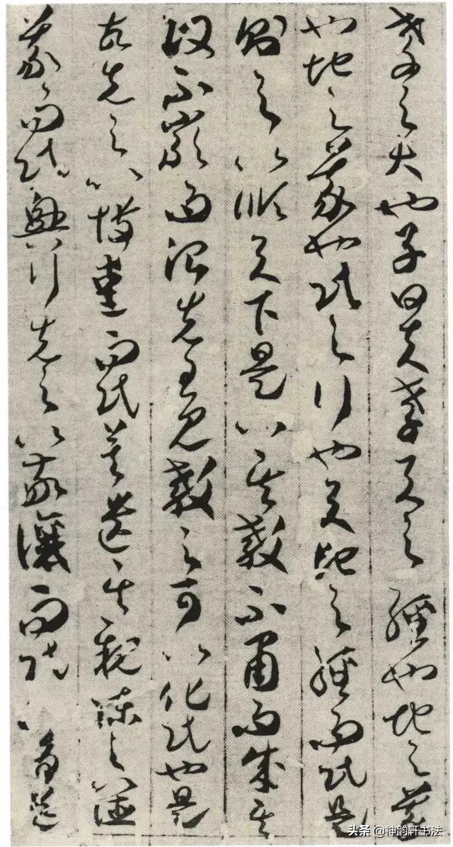 纵腾集团
:贺知章是唐代著名诗人，为啥其草书也那么出彩呢？