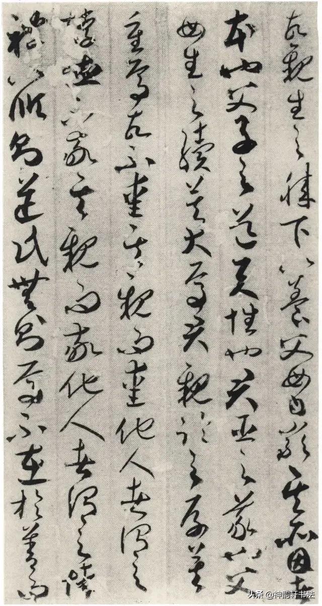 纵腾集团
:贺知章是唐代著名诗人，为啥其草书也那么出彩呢？