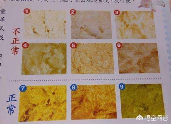 coverr
:宝宝快10个月了，最近老是拉硬便便，为什么会这样？该怎么护理？