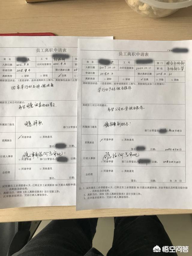 巧妇九妹全部视频最近
:如何看待农村小伙辞职，学巧妇9妹做三农视频？