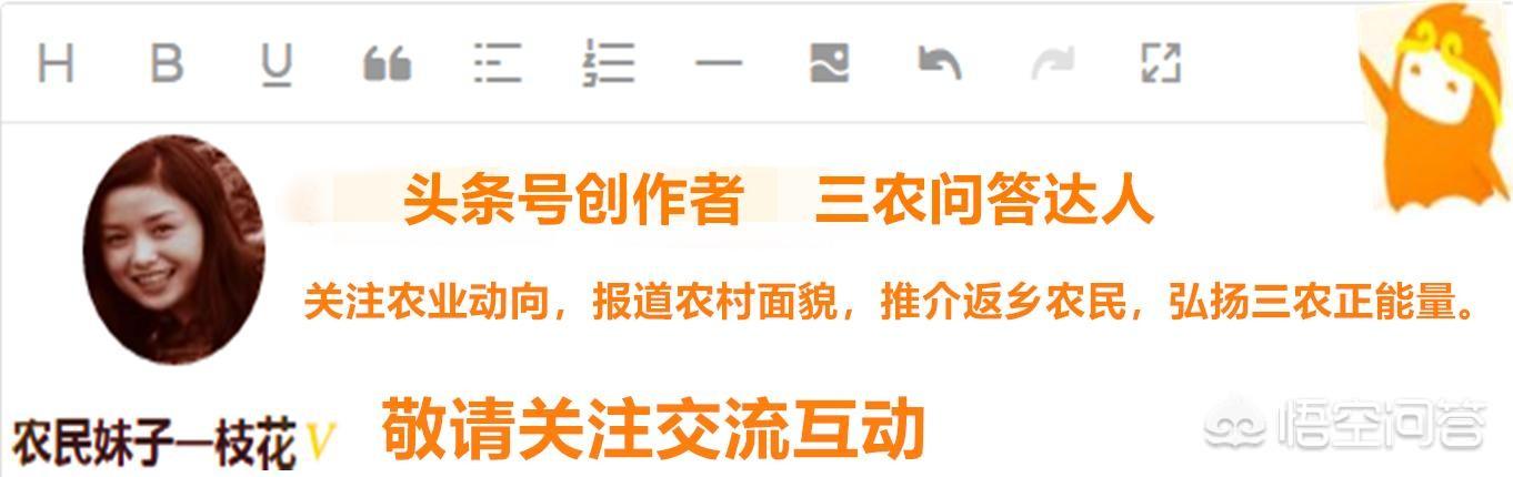 巧妇九妹全部视频最近
:如何看待农村小伙辞职，学巧妇9妹做三农视频？